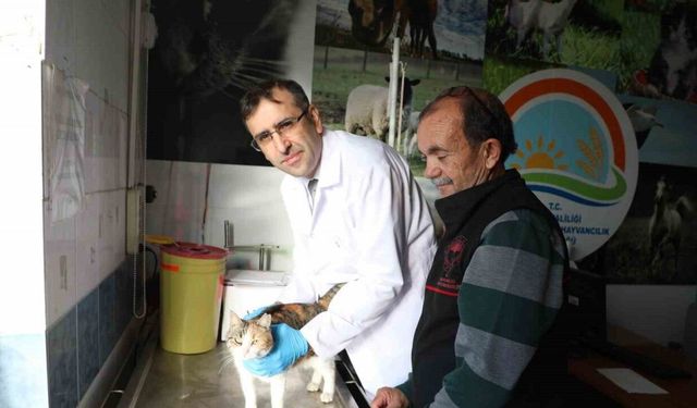 Ledi ve köpek sahiplerine mikroçip uyarısı