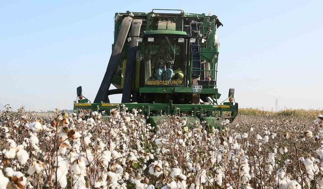 Aydın İl Tarım Müdürlüğü'nden üreticilere hatırlatma