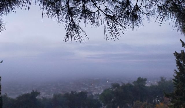 Aydın'da puslu sabah manzaraları mest etti