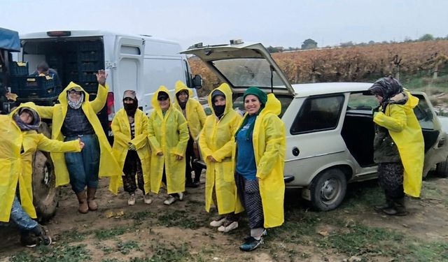 İşçiler yağmur ve çamuru aldırış etmeden üretime devam ediyor