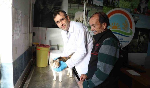 Aydın'da kedi ve köpek sahiplerine uyarı