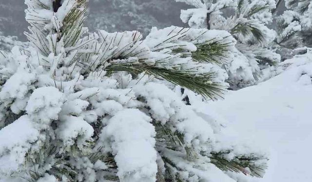 Muğla'ya mevsimin ilk karı yağdı