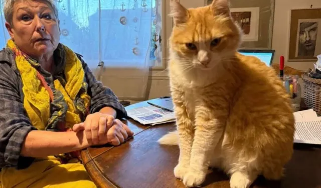 Dünyanın ilk mahpus kedisi