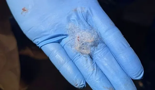 Ufacık yün parçası 57 milyon TL'lik ticareti durdurdu