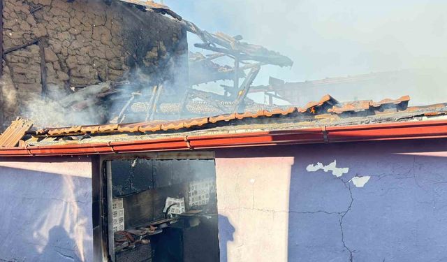 Soğukta evsiz kaldılar