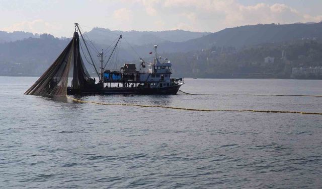 Dil ve pisi balığı avcılığına yasak