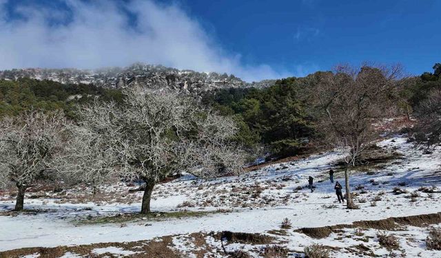 Paşa Yaylası'nda Vatandaşlar Karın Keyfini Çıkardı