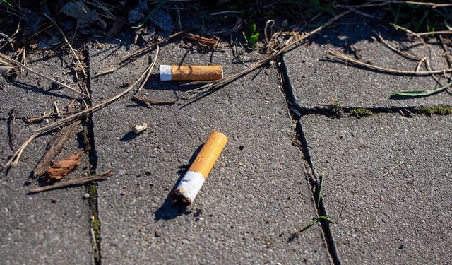 Çevreyi kirletenlere rekor cezalar