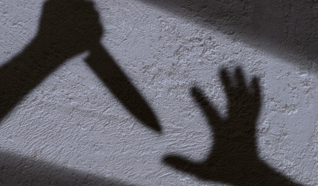 Aydın’da yaşlı adam eşini bıçakladı