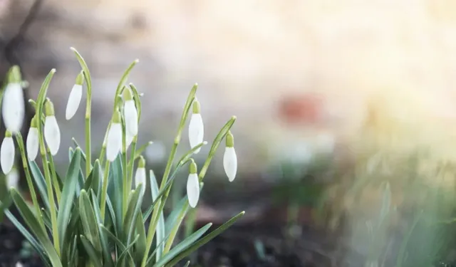 İkinci Cemre Ne Zaman Düşecek?