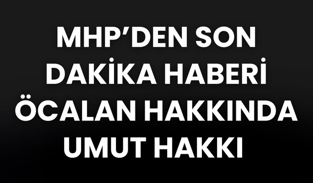 MHP'li Feti Yıldız: Umut hakkı konusunda uzlaştık