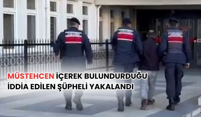 Müstehcen içerik bulundurduğu iddia edilen şahıs yakalandı
