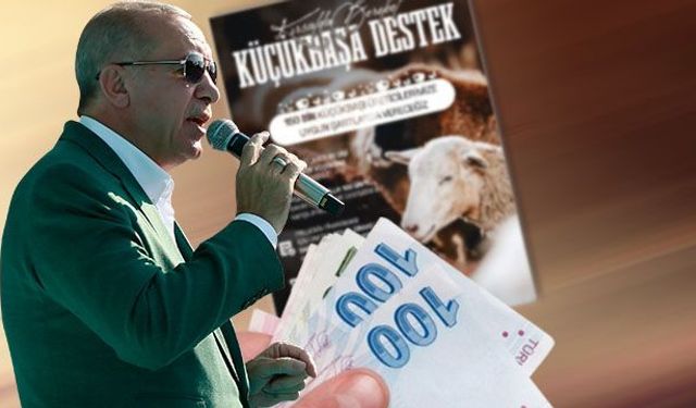 Cumhurbaşkanı'ndan besiciye müjde