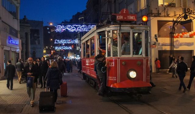 İstanbul'da Kuduz Alarmı!