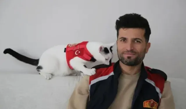 Enkaz Kedi Hâlâ Yanında