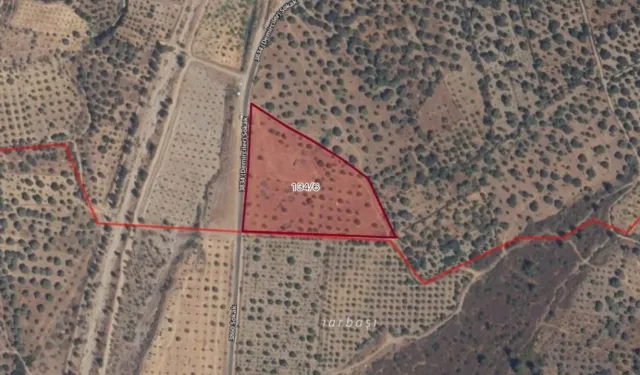 Barınak Projesine Büyükşehir’den Onay Çıktı