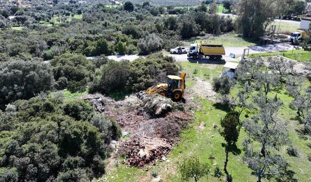 Belediyeden Kapsamlı Temizlik Çalışması