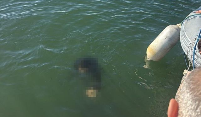 İzmir’de Engelli Adamın Trajik Sonu