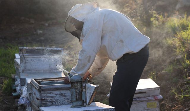Yağışla Gelen Bereket Arıcıyı Sevindirdi