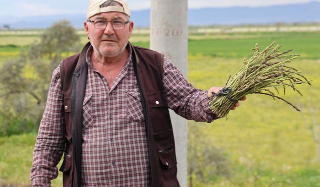 Doğadan Topluyor, Mahallesine Dağıtıyor