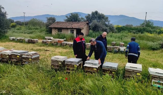 Ana Arı Üretiminde Kalite Denetimi