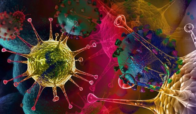Doktorlar Uyardı, Kabus Geri Dönüyor