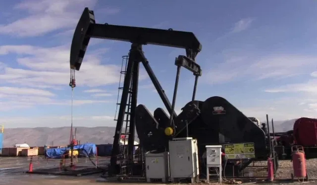 Üniversite Kampüsünde Petrol Bulundu