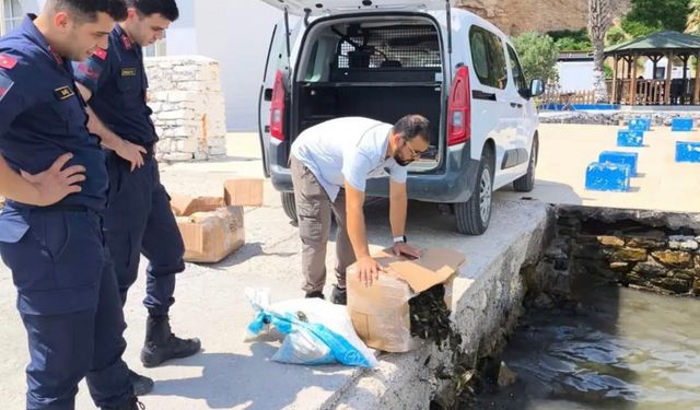 Aydın'da 60 Kilo Canlı Yengeç Ele Geçirildi