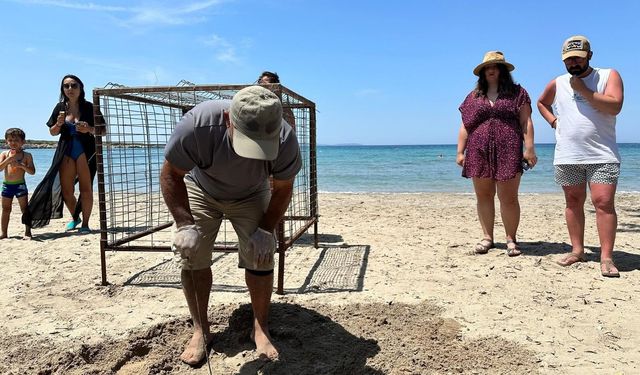 Yılın ilk Caretta Caretta yuvası tespit edildi