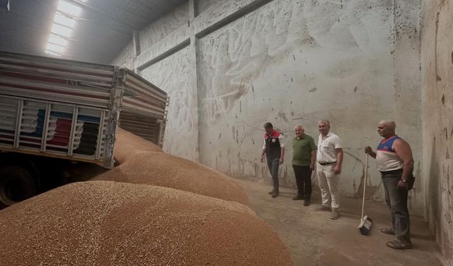 İlk hububat alımı gerçekleştirildi