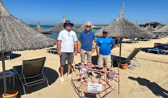 Yıllar sonra döndü, Didim'de caretta caretta sürprizi