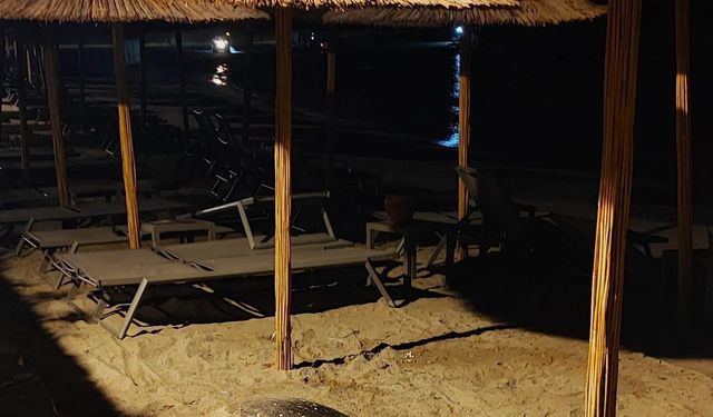 Kuşadası ve Didim Kıyılarında Caretta hareketliliği başladı