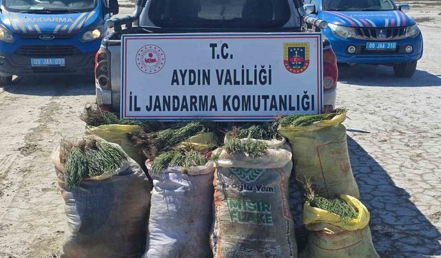 Koruma alanında izinsiz bitki toplayan 8 kişiye işlem