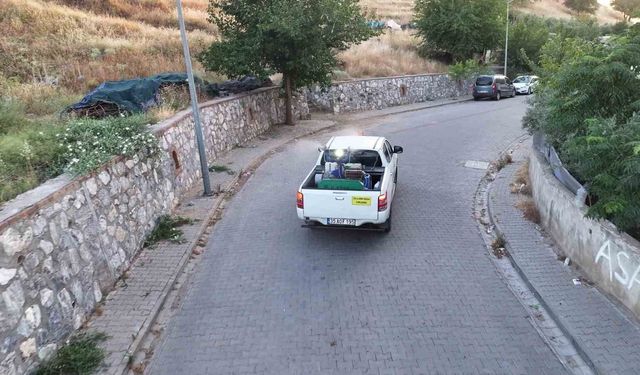 Efeler’de ilaçlama çalışmaları tüm hızıyla sürüyor