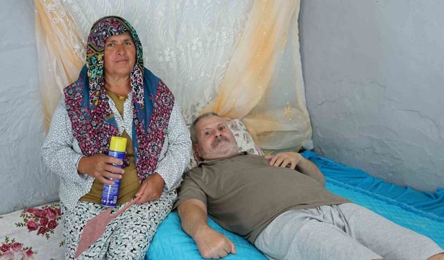 Felçli eşinin rahat etmesi için sinek nöbeti tutuyor