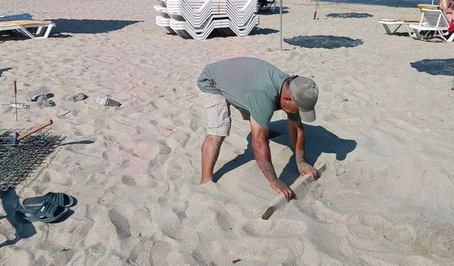 Kuşadası sahillerinde Caretta Caretta sevinci