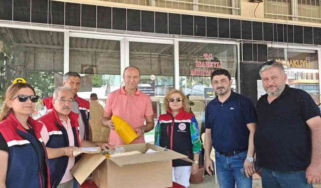 Nazilli'de 2 bin 500 tuzak dağıtıldı