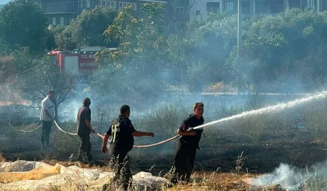 Nazilli’de kuru otlar alev aldı