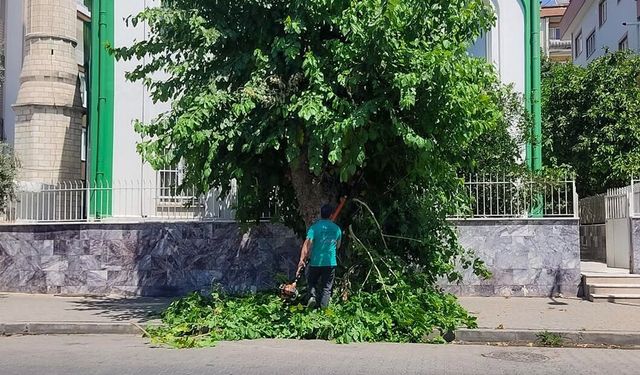 Efeler’de parklar artık daha güvenli ve konforlu