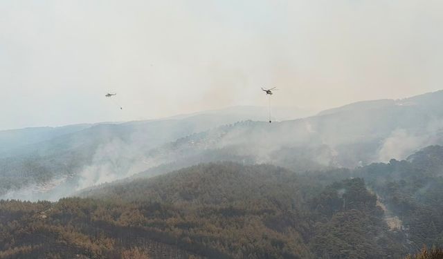 Rüzgarın şiddetiyle alevler büyüdü: Çine'deki yangına yoğun müdahale