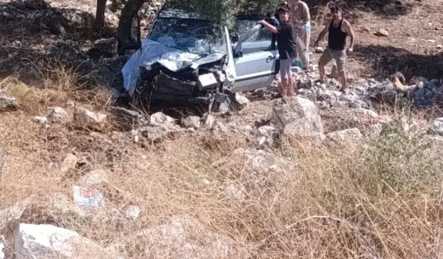 Direksiyon hakimiyetini kaybetti zeytinliğe uçtu