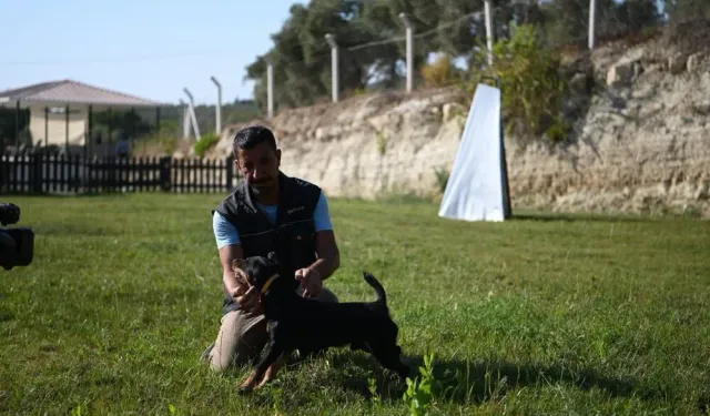 Eğittiği köpekler hayat kurtarıyor