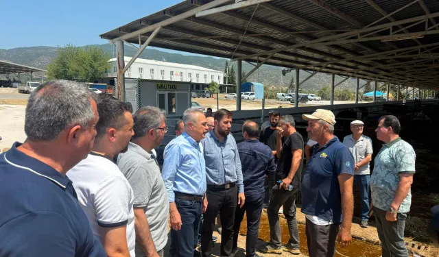 AK Parti Aydın Heyeti Çine Hayvan Pazarın’da!