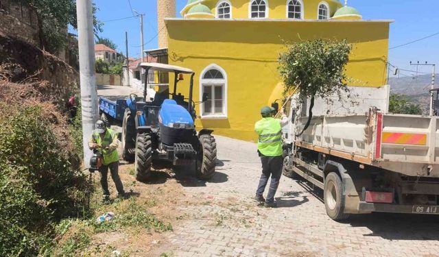 Karpuzlu'daki yeşil alanlarda bakım ve düzenleme çalışması