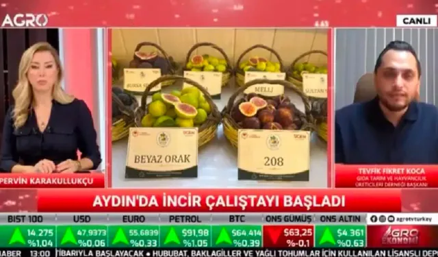 Aydın inciri için 100 milyon liralık kaynak açıklandı