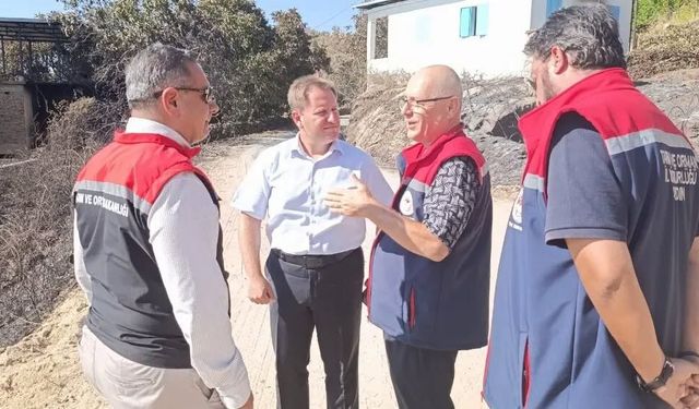 Çine'de yangın sonrası hasar tespit çalışmaları sürüyor