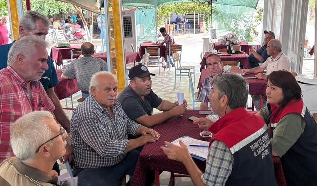 Nazilli'de incir üreticilerine kritik uyarılar