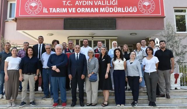 Aydın incirinin gıda güvenliği mercek altında