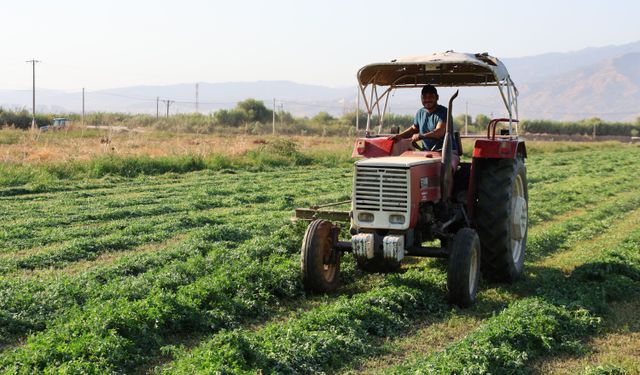 Yonca hasadında verim yüzleri güldürdü