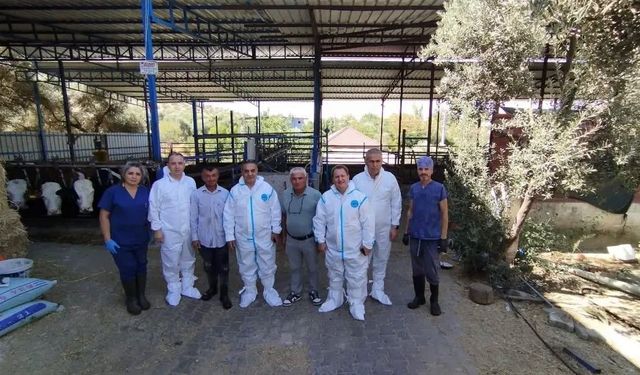 Aydın’da sonbahar şap aşısı kampanyası